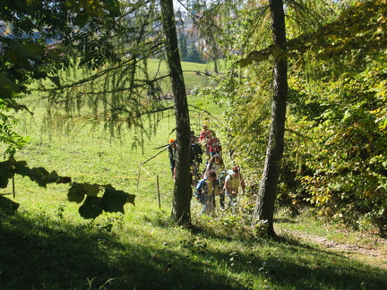 IMG 4517